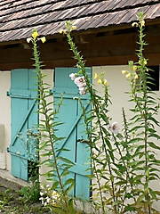 Geisswasser