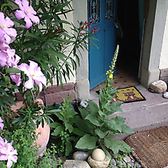 la maison des 7 solleils_4