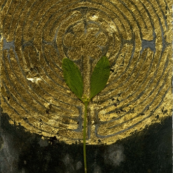 366 hommages_5