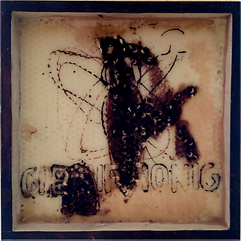 Apis_1