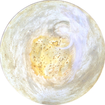 apis_1