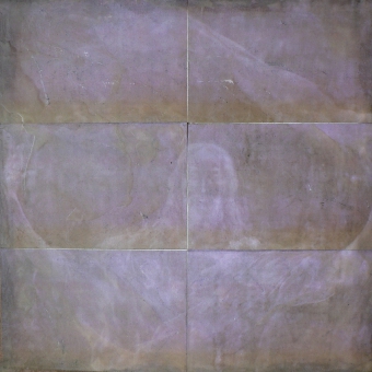 apis_1