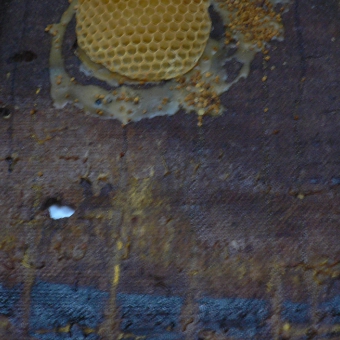 apis_3_8