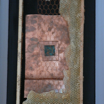 apis_4