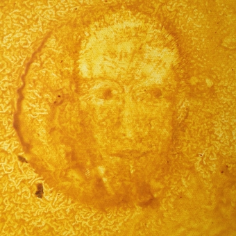 le retable des abeilles 6, détail