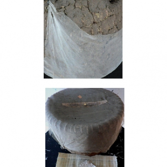 apis stela 1_29