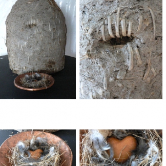 apis stela 1_5
