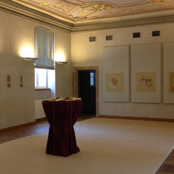 ausstellungen- expositions_3