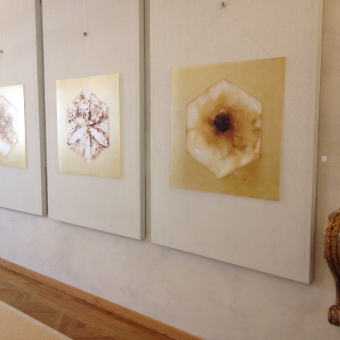 ausstellungen- expositions_5