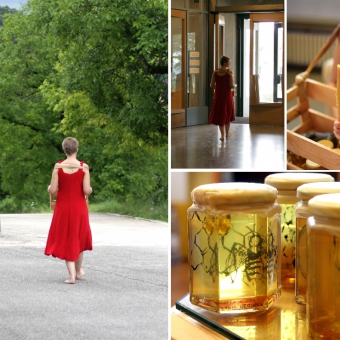 ausstellungen expositions_2