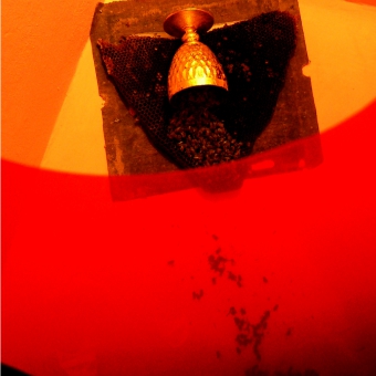 ausstellungen expositions_3