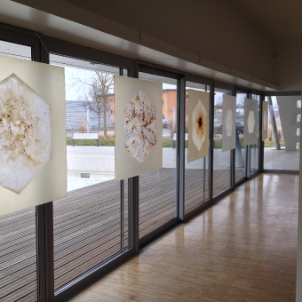 expo_14