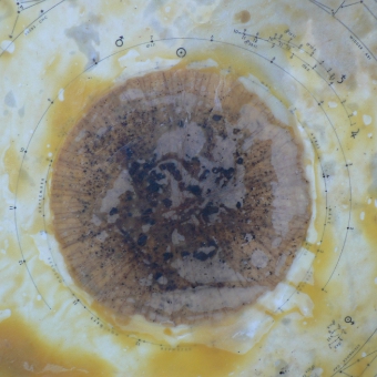 apis stella 1_7