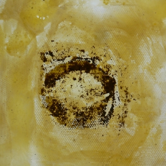 lumière de cire_2