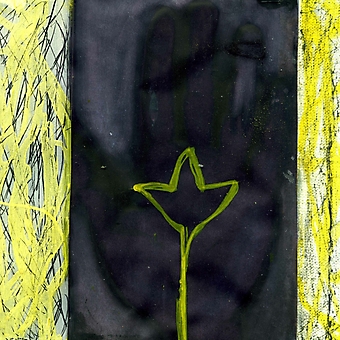 lilium manum 14