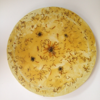 ronde florale_6