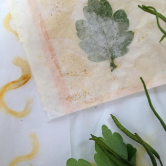 Atelier Laurence Liebenguth - Malen mit Blumen und Pflanzenfarben