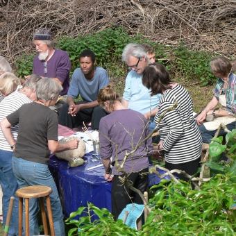 Atelier Laurence Liebenguth - Malen mit Blumen und Pflanzenfarben