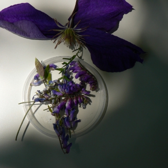 Atelier Laurence Liebenguth Rogez Malkurse und Seminare