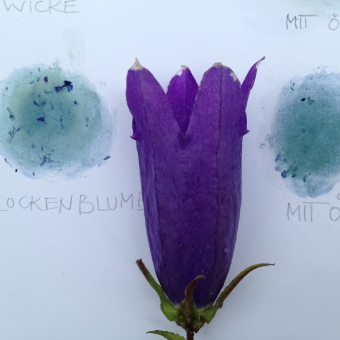 Atelier Laurence Liebenguth Rogez Malkurse und Seminare